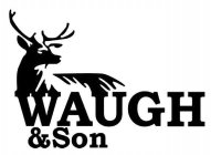 WAUGH & SON