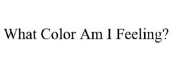 WHAT COLOR AM I FEELING?
