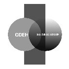 ODEH HOLDINGS GROUP