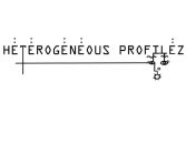 HETEROGENEOUS PROFILEZ