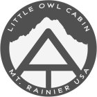 LITTLE OWL CABIN MT. RAINIER USA T