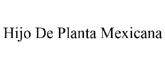 HIJO DE PLANTA MEXICANA