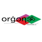 ORGONE HEALTHCARE LLC BALANCED ENERGY +INNOVATIVE VISION = DISTINCTIVE HEALTHCARE