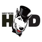 HARE O' THE DOG