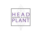 HEAD PLANT MODERN ALCHEMY