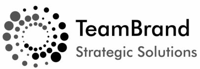 TEAMBRAND STRATEGIC SOLUTIONS
