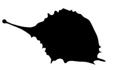Image Trademark