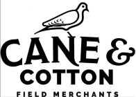 CANE & COTTON FIELD MERCHANTS