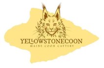 YELLOWSTONECOON MAINE COON CATTERY