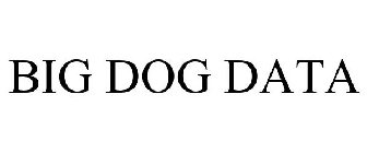 BIG DOG DATA