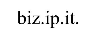 BIZ.IP.IT.