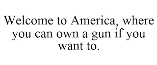 WELCOME TO AMERICA, WHERE YOU CAN OWN A GUN IF YOU WANT TO.
