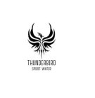 THUNDERBIRD SPIRIT WATER