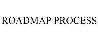 ROADMAP PROCESS