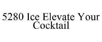 5280 ICE ELEVATE YOUR COCKTAIL