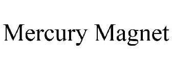MERCURY MAGNET