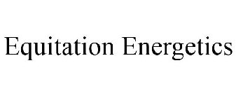 EQUITATION ENERGETICS