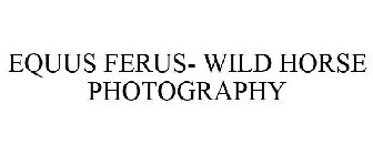 EQUUS FERUS- WILD HORSE PHOTOGRAPHY