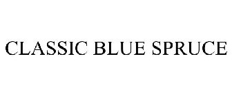 CLASSIC BLUE SPRUCE