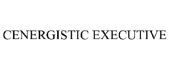 CENERGISTIC EXECUTIVE