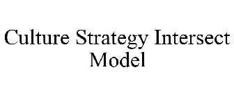 CULTURE STRATEGY INTERSECT MODEL