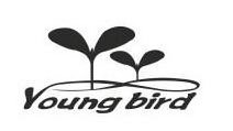 YOUNG BIRD