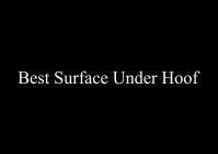BEST SURFACE UNDER HOOF