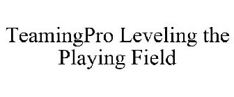 TEAMINGPRO LEVELING THE PLAYING FIELD