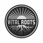 VITAL ROOTS