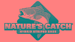 NATURE'S CATCH HYBRID STRIPED BASS