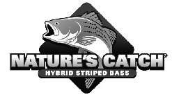 NATURE'S CATCH HYBRID STRIPED BASS