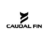 CAUDAL FIN