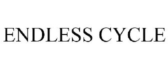 ENDLESS CYCLE