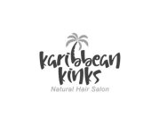 KARIBBEAN KINKS NATURAL HAIR SALON