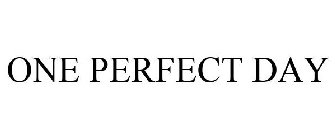 ONE PERFECT DAY