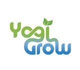 YOGI GROW