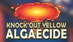 KNOCK OUT YELLOW ALGAECIDE