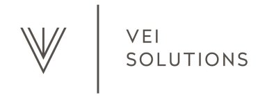 V V VEI SOLUTIONS