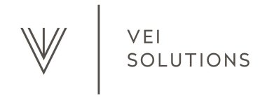 V V VEI SOLUTIONS