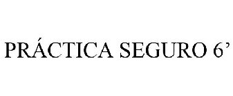 PRÁCTICA SEGURO 6'