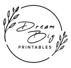 DREAM BIG PRINTABLES