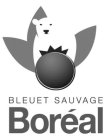 BLEUET SAUVAGE BORÉAL