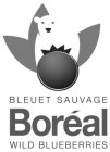 BLEUET SAUVAGE BORÉAL WILD BLUEBERRIES