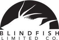 BLINDFISH LIMITED CO.