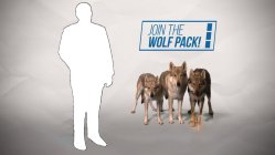 JOIN THE WOLF PACK!