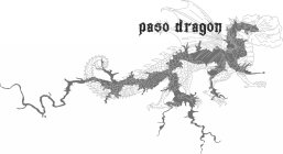 PASO DRAGON