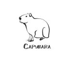 CAPYBARA