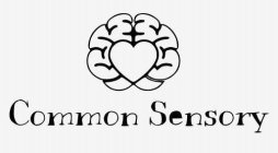 COMMON SENSORY