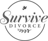 SURVIVE DIVORCE