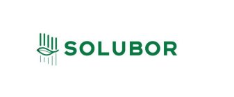 SOLUBOR